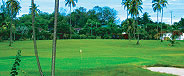 The Fourteenth Green Tobago Villa